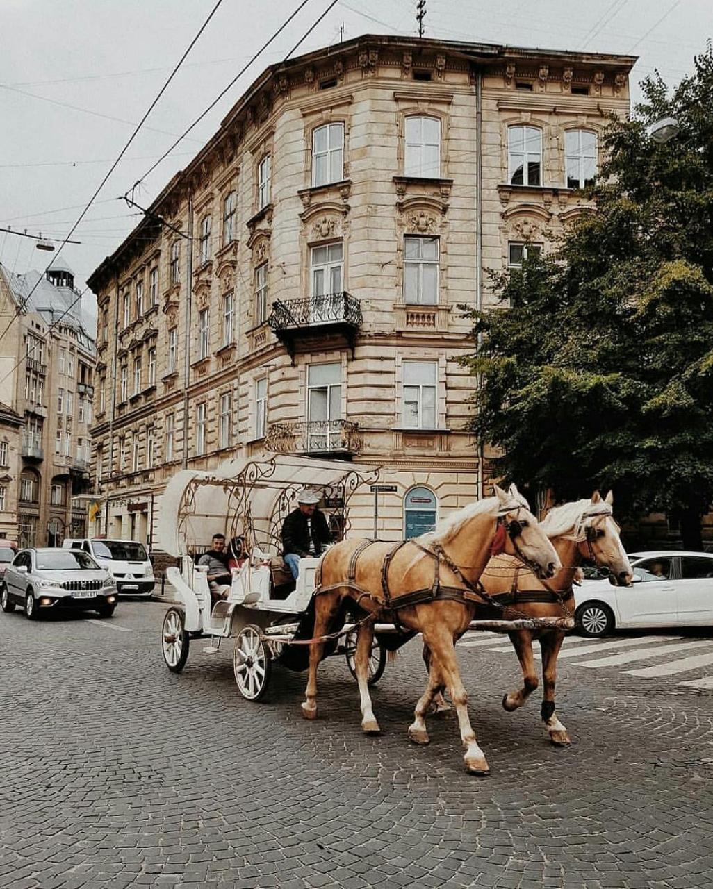 StaroevreyskaApart Lägenhet Lviv Exteriör bild